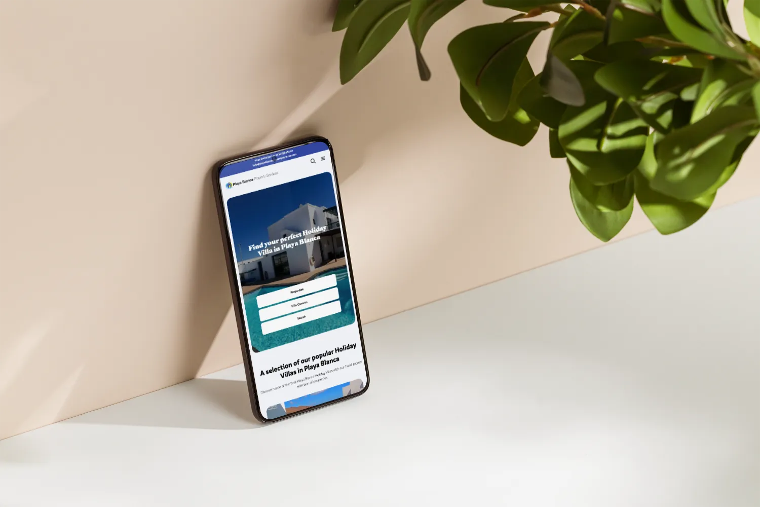 Lanzarote Web Design