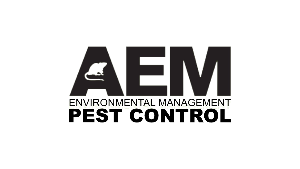 AEM Pest Control Stoke On Trent Web Design Brighton