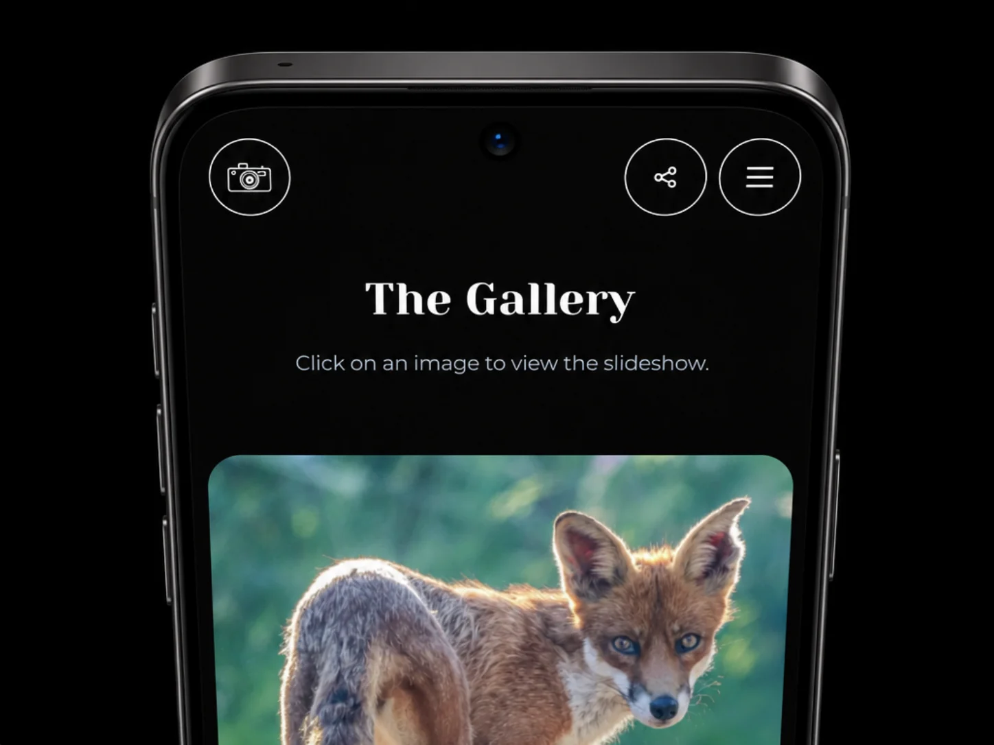 Photography web site shown on a mobile phone